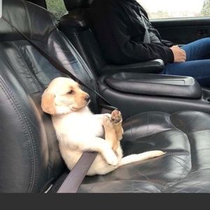 Meet your Posher, Mark